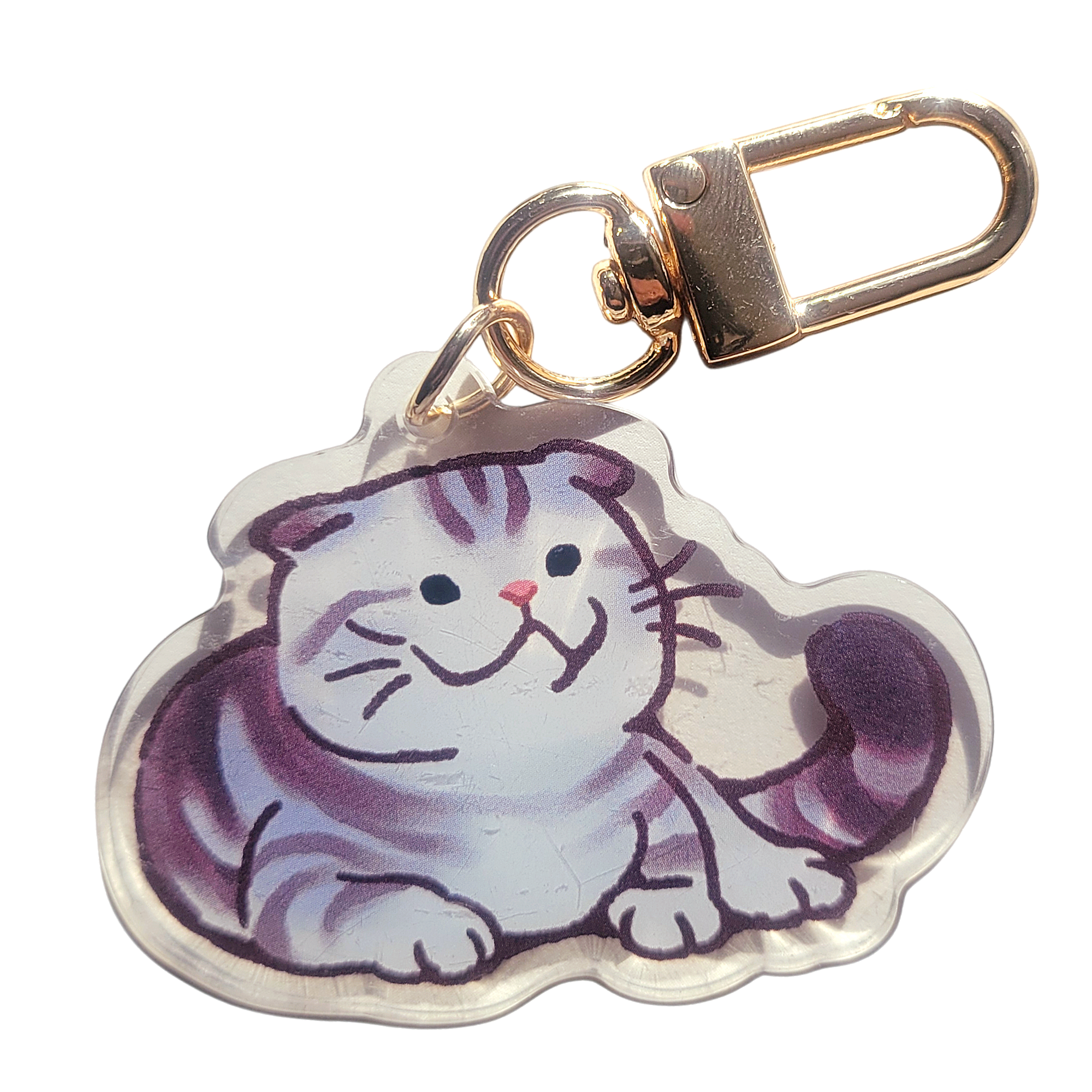 Foldex Cat Acrylic Charm