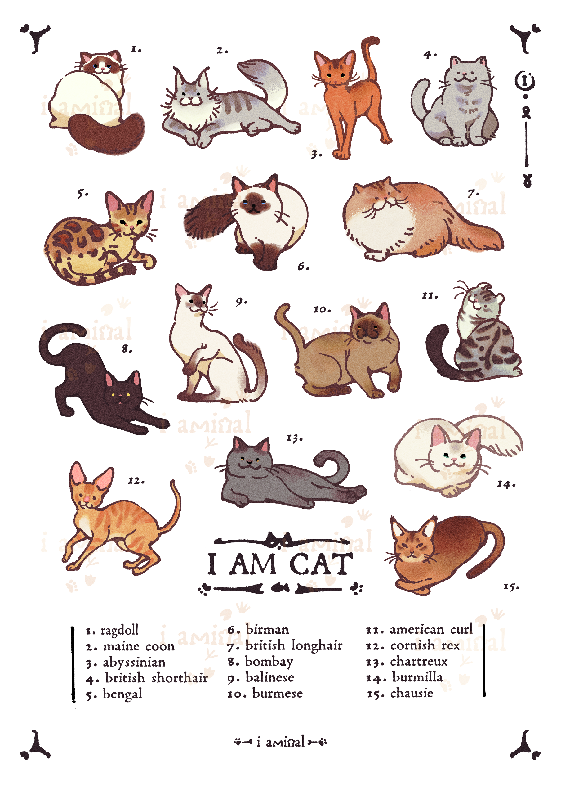 I AM CAT Series - Sticker Sheets