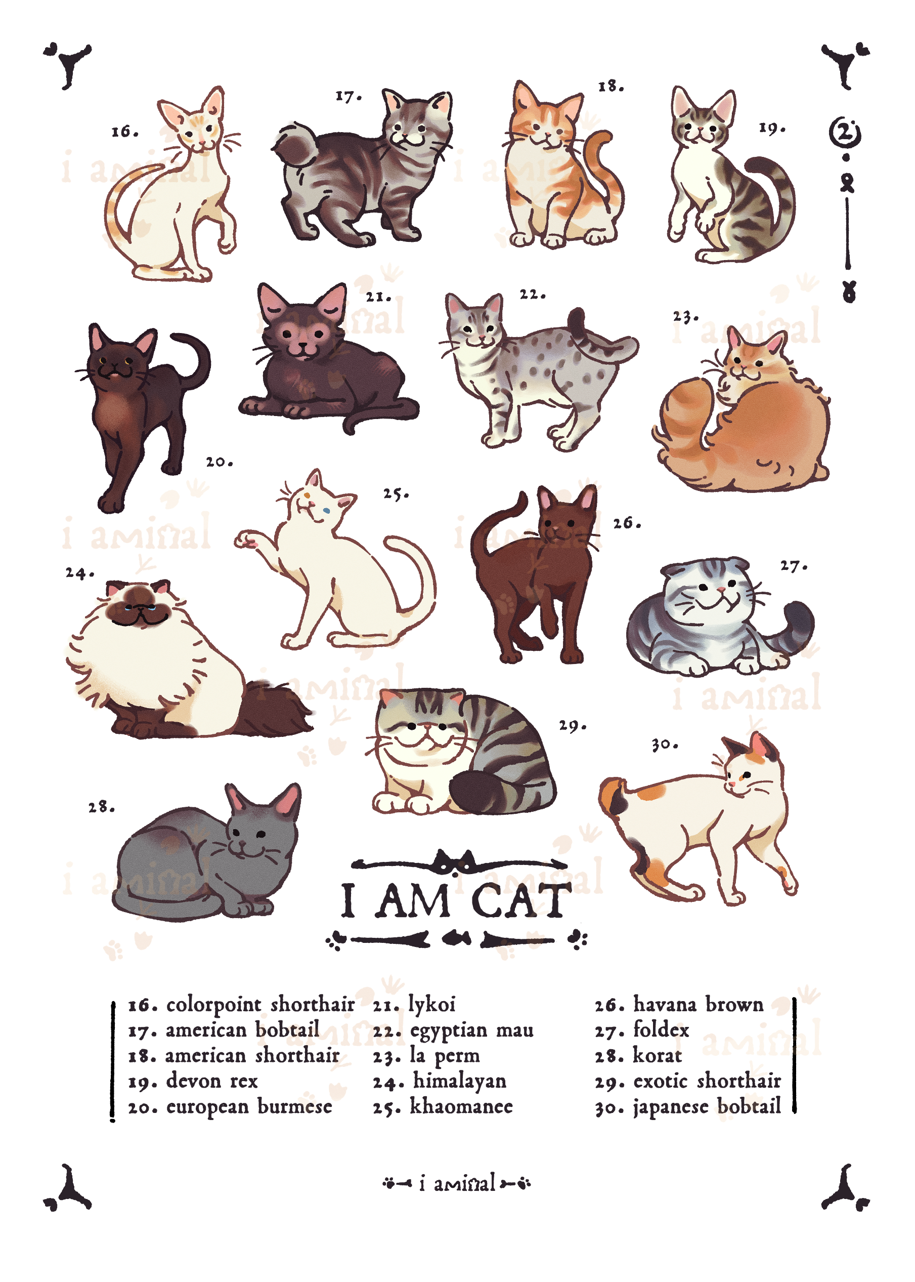 I AM CAT Series - Sticker Sheets