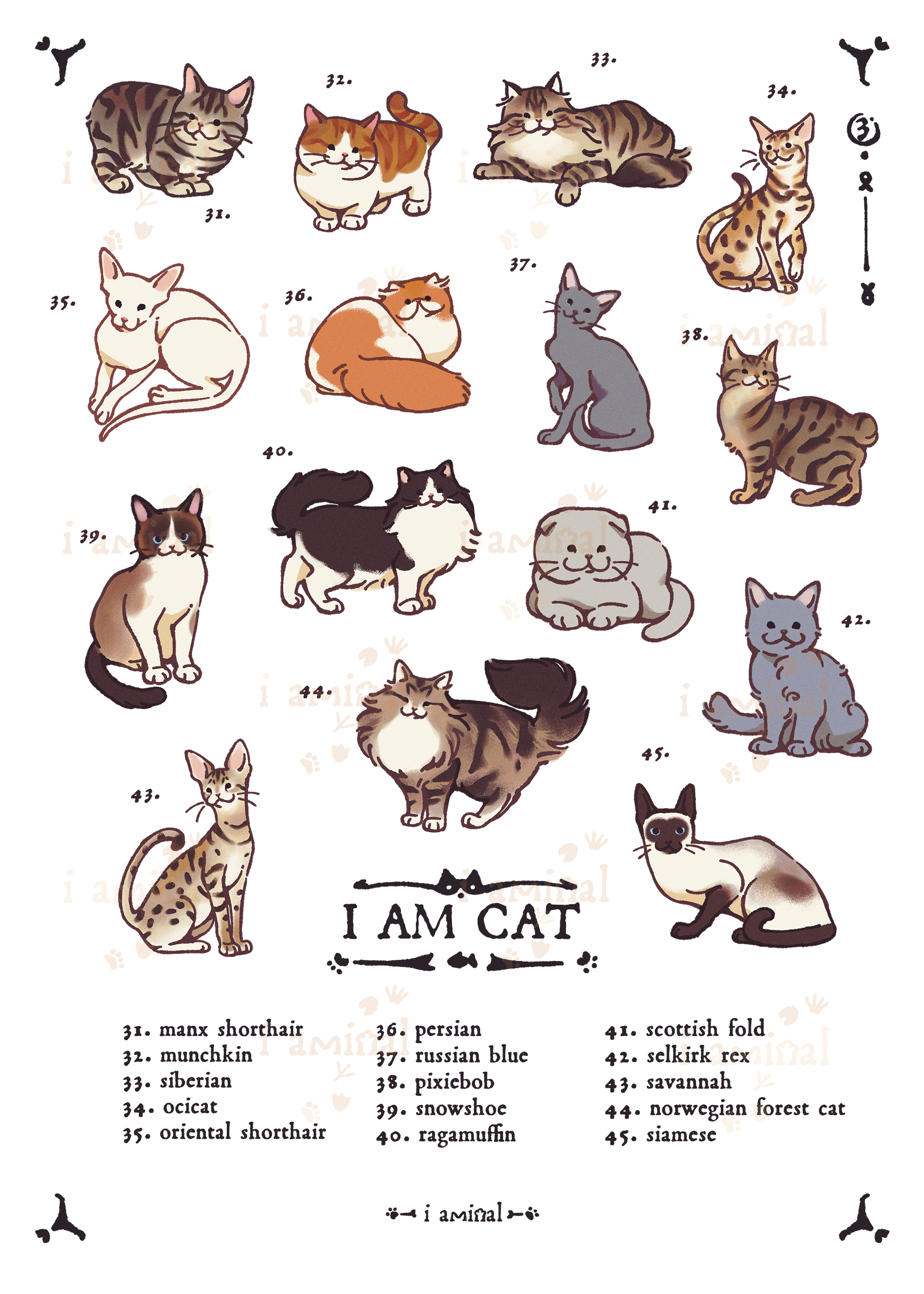 I AM CAT Series - Sticker Sheets