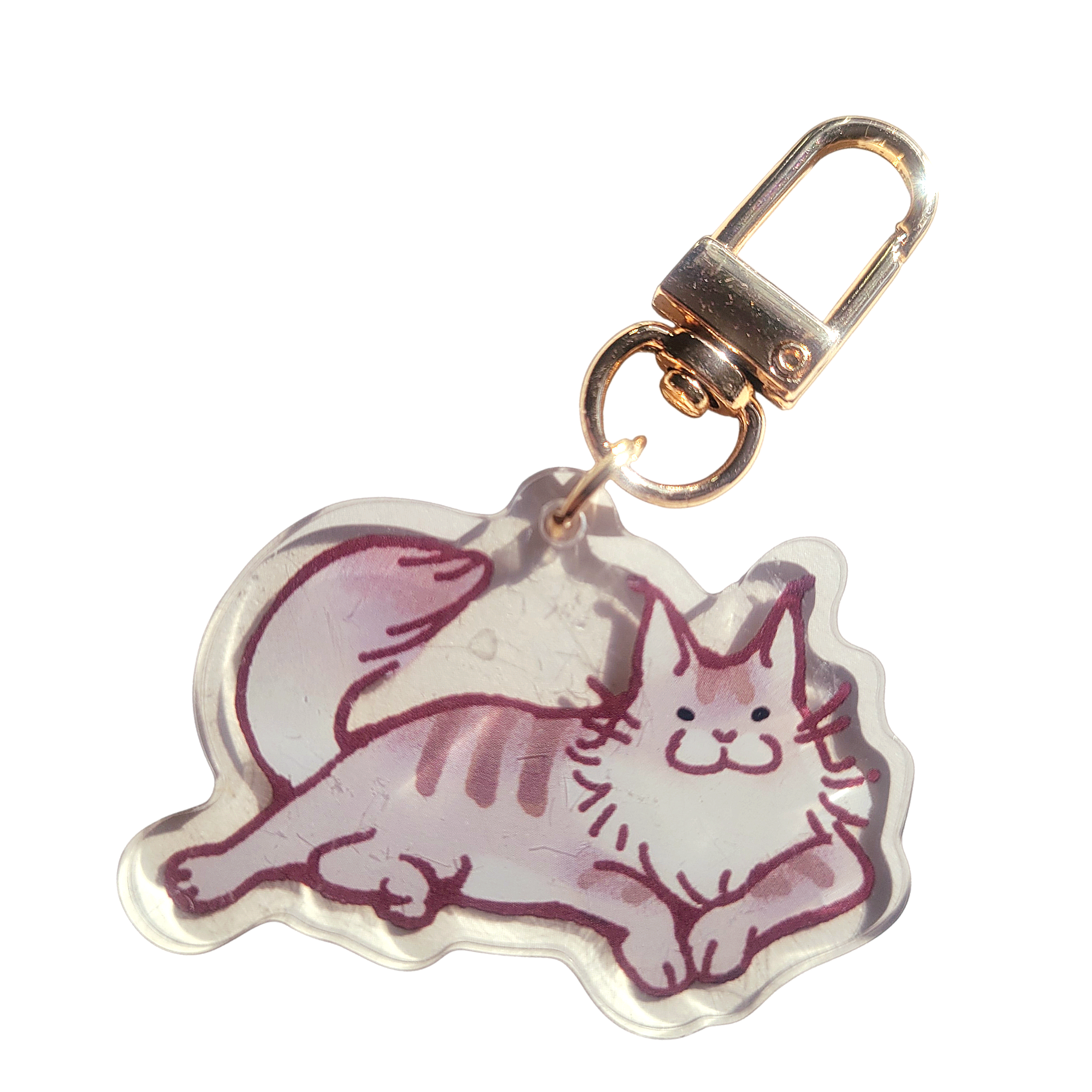 Maine Coon Cat Acrylic Charm