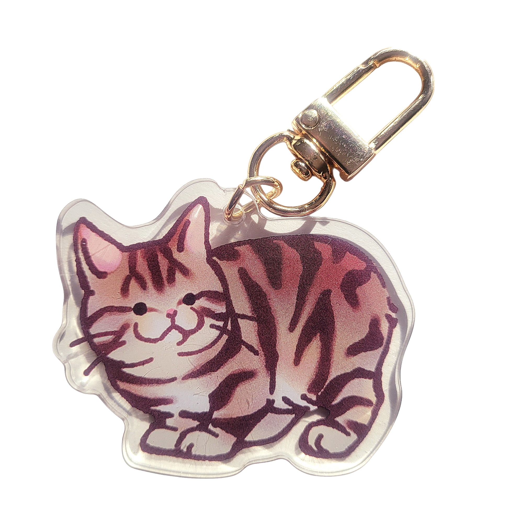 Manx Shorthair Acrylic Charm