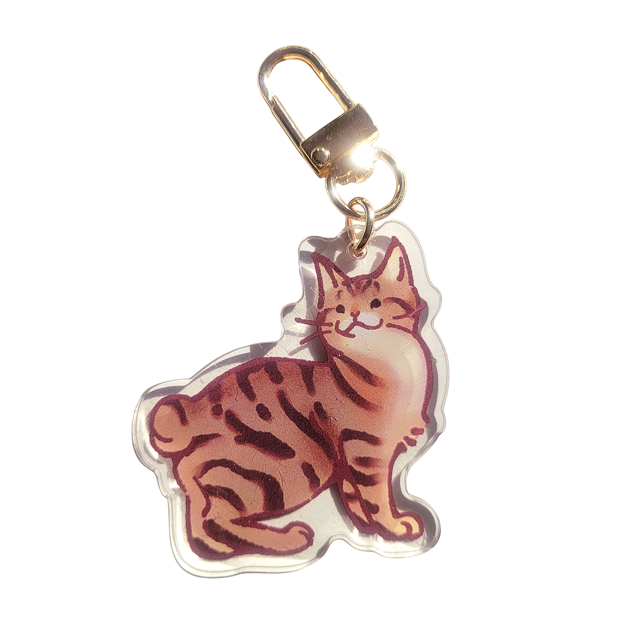 Pixiebob Cat Acrylic Charm