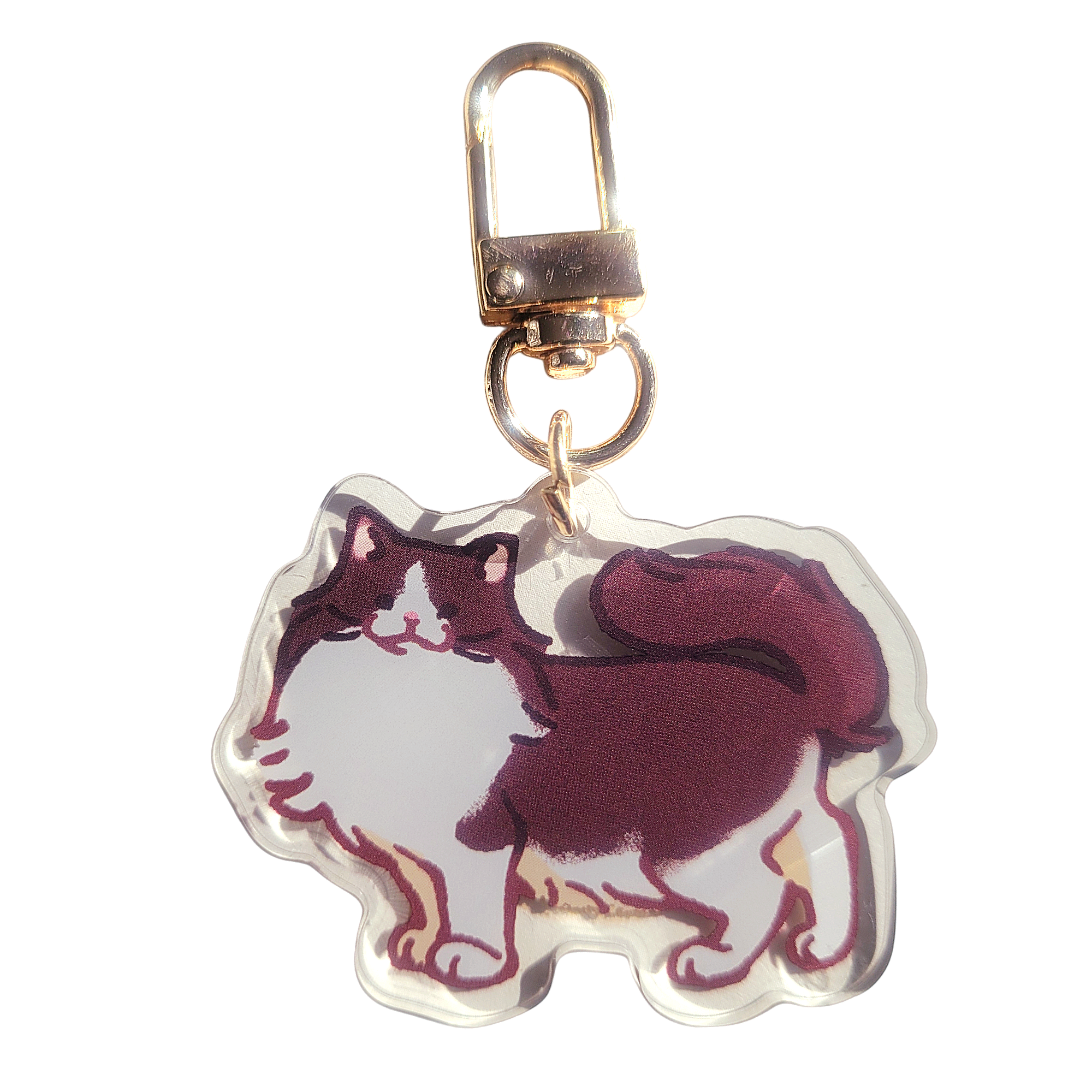 Ragamuffin Cat Acrylic Charm