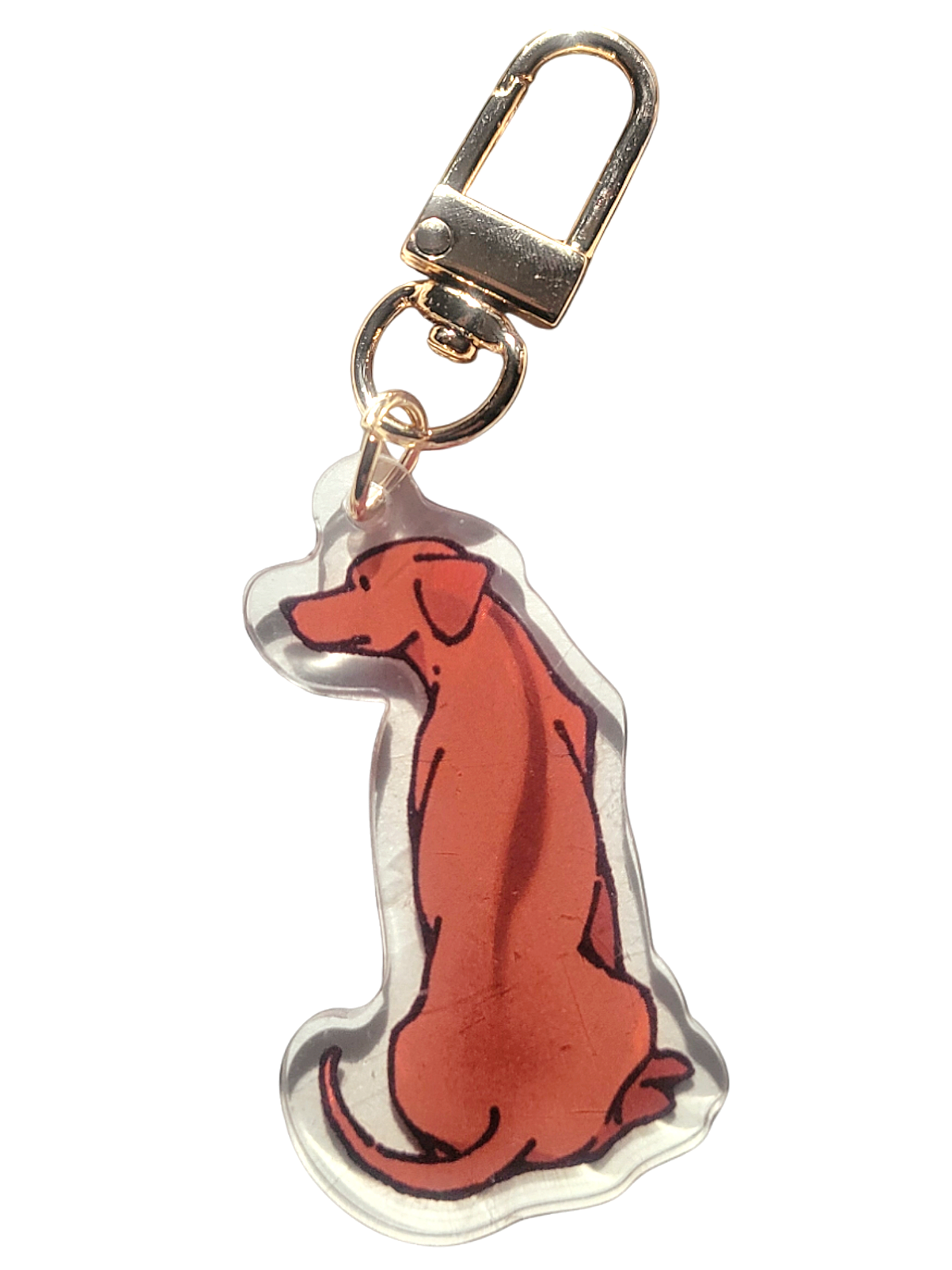 Rhodesian Ridgeback Dog Acrylic Charm