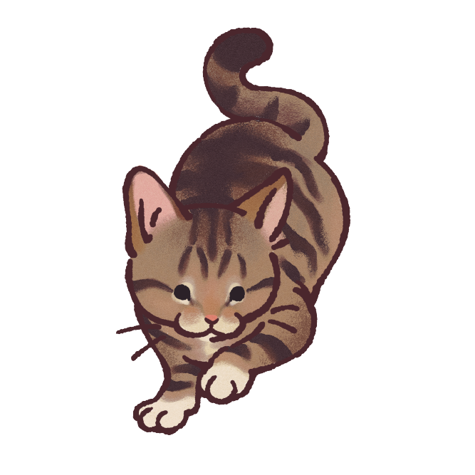 Brown Tabby Cat Sticker