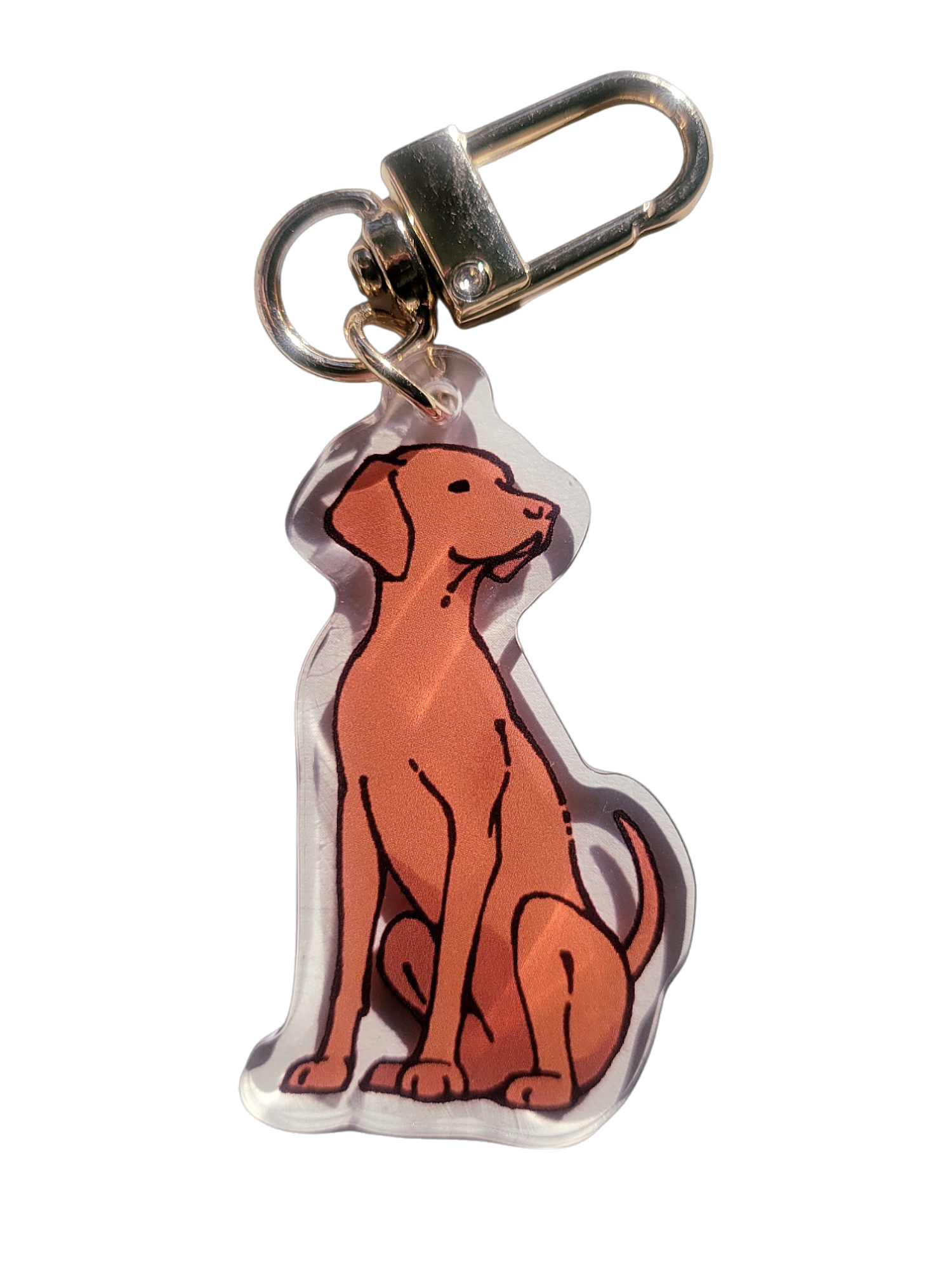 Vizsla Dog Acrylic Charm