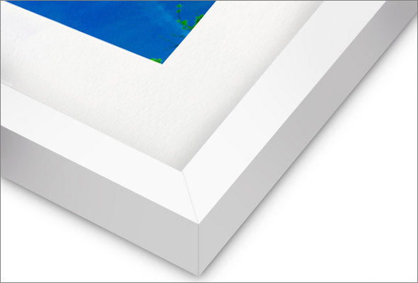 "O Gato Abaporu" Giclée Fine Art Print - Framing Available